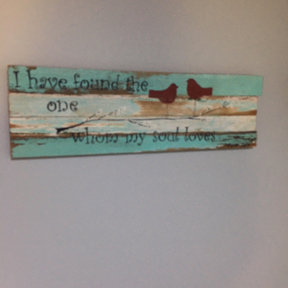 Rustic Wall Art with Birds - Teal and Red